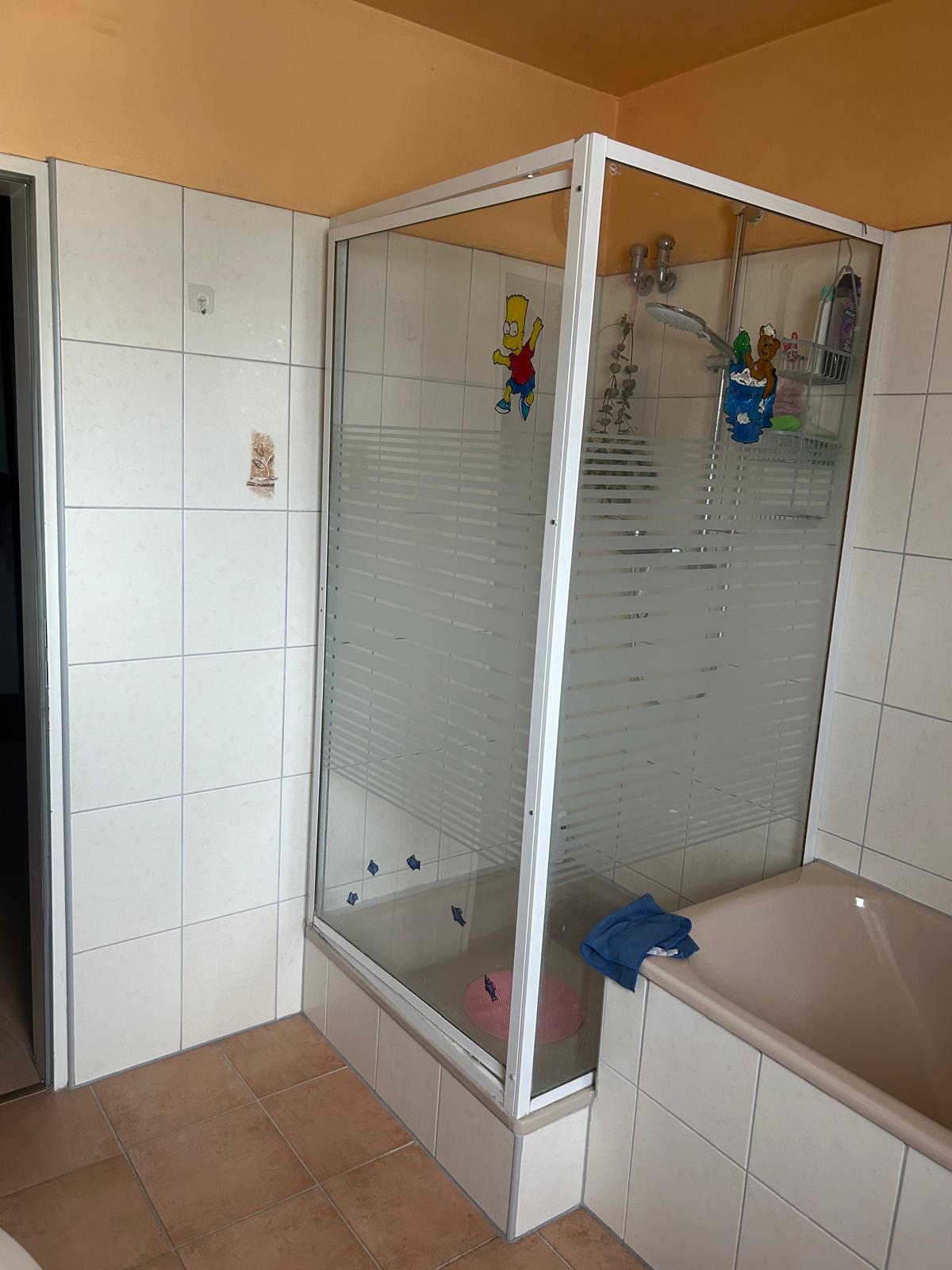 Alte Dusche vor der Sanierung mit Glaskabine